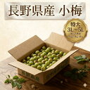 小梅 梅 ウメ 長野県産 信州 北信 カリカリ梅 梅干し シロップ漬け 梅酒 送料無料