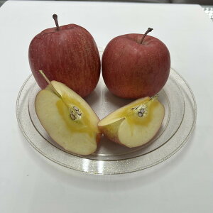 Tӂ 5kg 12~16 쌧Y  t[c ʕ 2025 2026 Gi ƒp YnI     Mtg v[g p 䒆 {̖o 