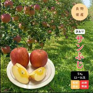 �󂠂� �T���ӂ���� ��5kg 12~16�� ���쌧�Y ��� �t���[�c �ʕ� 2025 2026 �ƒ�p �Y�n���I ���� �������� �������� �������� ���Ɨp �����̏��@�ό`