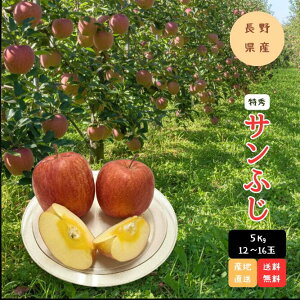 �T���ӂ���� ���G ��5kg 12~16�� ���쌧�Y ��� �t���[�c �ʕ� 2025 2026 ���G�i �ƒ�p �Y�n���I ���� �������� �������� �������� �M�t�g �v���[���g �����p �䒆�� �{�̖��o ����