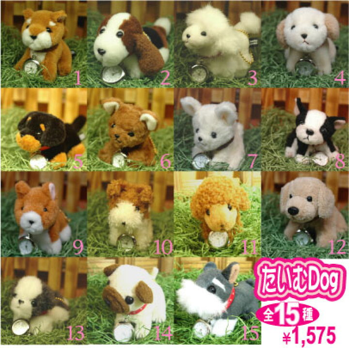 楽天市場 お買い物マラソン限定クーポン配布中 時計 メンズ ぬいぐるみ 犬 Timedog St Fix ブランド アスカショップ ビジネス 鞄 財布