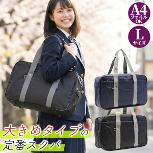 y20NIő5000~N[|zzzXN[obO XNo LTCY 傫 1128 {XgobO ʊw jp Z w q jq A4 e ȏ v e t Vv u