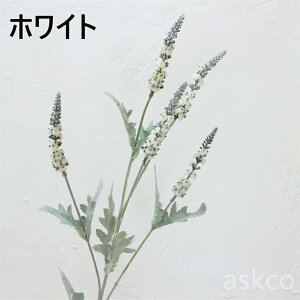 �y�Ԏ��o��z�������� �t�F�C�N �~�\�n�M ���� �t���� 2�{�Z�b�g �u���b�N ���� ���蕨 �I�[�i���� ���݂̖� �a���� �L�O�� �C���e���A �p�[�c �t�F�C�N�t�����[ �A�[�e�B�t�B�V�����t����