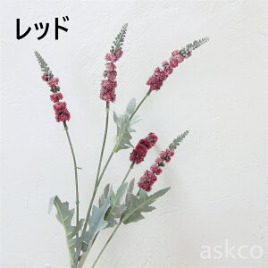 yԎoz tFCN ~\nM  t 2{Zbg ubN  蕨 I[i ݂̖ a LO CeA p[c tFCNt[ A[eBtBVt