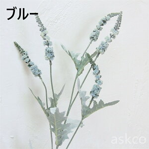 yԎoz tFCN ~\nM  t 2{Zbg ubN  蕨 I[i ݂̖ a LO CeA p[c tFCNt[ A[eBtBVt