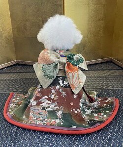 yԌP5{zas know as ԃU[ޘV΁[   f