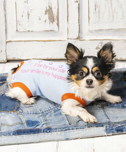 as know as ���J�o���[AIO �� �J�b�g�\�[ �����s�[�X �f����