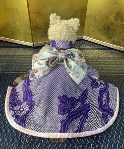 as know as ԂU[Ñ㎇F[   f