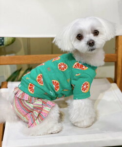 yԌP5{zas know as NCtbVORT  Jbg\[ TVc f