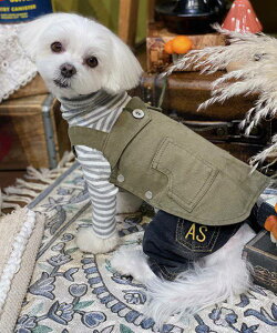 yԌP5{zas know as JtFGvJSK  s[X f