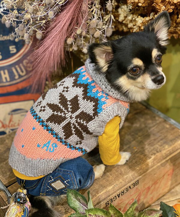 楽天市場】as know as クリスタルニットベスト 犬 ニット カーディガン 