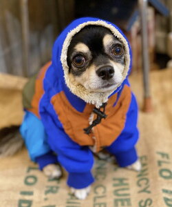 as know as FUNXk[h  Xk[h f