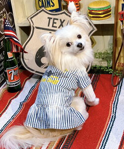 as know as デトロイトスタッフOP 犬 ワンピース デワン