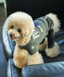 yԌP5{zas know as ÉNJbWhbOT  Jbg\[ TVc