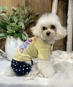 as know as NUKK[fhJT  Jbg\[ TVc  hbOEFA 킢  JWA h CMX jIWbN gbh f