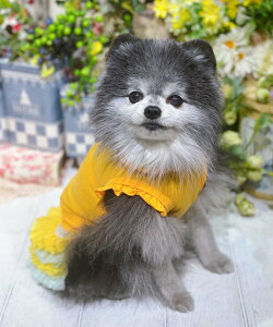 as know as NN[vvTK  Jbg\[ L~ ^N N[ t  hbOEFA 킢  JWA f