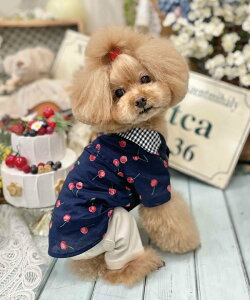 as know as N`F[MKSH  Vc `F[ MK  hbOEFA 킢  JWA f