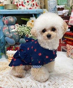 as know as `F[MKOP  s[X `F[ MK  hbOEFA 킢  JWA f