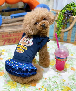 as know as NC|bsOptFTK  Jbg\[ L~ ^N ptF UVH N[ OtBbN Be[WCN  hbOEFA 킢 JWA  f