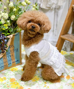 as know as OWA[[XOP  s[X OWA[ [X K[[ Rbgt  hbOEFA 킢  JWA i f