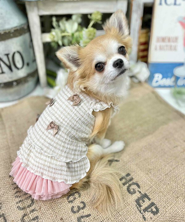 楽天市場】as know as NリボンギンガムPO 犬 カットソー プル 