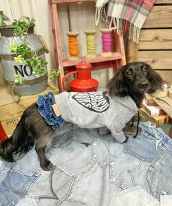 as know as NBIGn[gPK  Jbg\[ p[J[ n[gPK  hbOEFA 킢  f