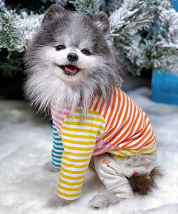 yԌP5{zas know as NJt􃍃T  Jbg\[ TVc {[_[ MK`FbN t 킢  hbOEFA  f