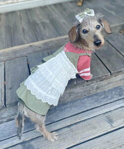 as know as N~^[[XOP  s[X f