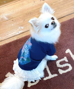 as know as NWañ`T  Jbg\[ TVc N[ `T  hbOEFA 킢  JWA }}Ƃ f