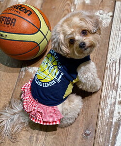 as know as NWanチームバスケTK 犬 カットソー キャミ タンク メッシュ タンクトップ バスケ 犬服 ドッグウェア かわいい おしゃれ カジュアル デワン