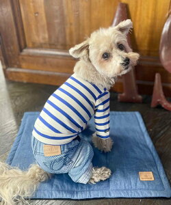 as know as N}{[_[T  Jbg\[ TVc {[_[ T  hbOEFA 킢  JWA f