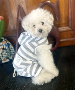 as know as NT}[r[`PK  Jbg\[ p[J[  hbOEFA 킢  pC {[_[ p[J[ f