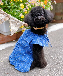 as know as btJ[OP  s[X VA[ MK`FbN hXg btJ[ tg{  hbOEFA 킢  f