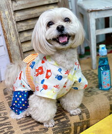 as know as HAPPYハッピ 犬 ハッピ カラフル tamako 犬服 ドッグウェア デワン