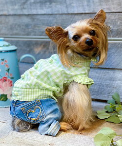 as know as NMKLfBBL  t MK`FbN J  hbOEFA f