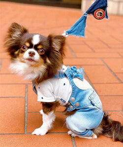 yԌP5{zas know as Cn[gtTyPT  s[X N[H n[g TKby  hbOEFA f