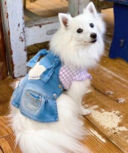 as know as Cn[gtTySK  s[X N[H n[g TKby  hbOEFA f