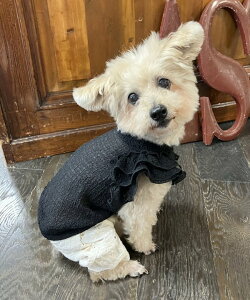 as know as NVA[TbJ[TK  Jbg\[ TVc TbJ[ VA[ t  hbOEFA 킢  f