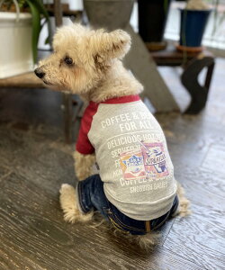 yԌP5{zas know as NCMADEBYAST  Jbg\[ TVc Be[W OtBbN N[H hbOEFA  f