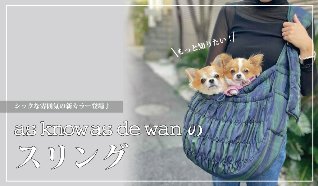 楽天市場 | AS KNOW AS 楽天市場店 - de wanのスリング ♡as know as de wan♡正規品♡可愛い♡オールメッシュスリング♡