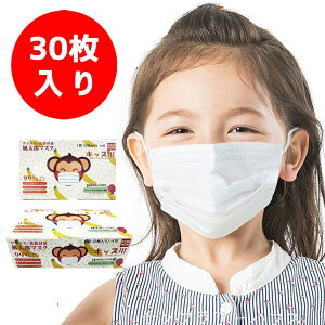 _^y݌ɂz}XN L[Yp 30 Ow\ sDz}XN ĝă}XN zCg ECX ԕ PM2.5΍ mask ܂ c 