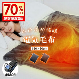 【クーポンで2,980円～】 電気毛布 掛け敷き 45800mAh バッテリー 有り 無し 60℃ 極暖 速暖 ひざ掛け 150×80cm 大判サイズ 電気ブランケット ヒーター 温度調節 USB給電 自動電源オフ ダニ退治 洗える 肌触り 敷毛布 省エネ 膝掛け 掛け毛布 ふわふわ NTC過熱制御