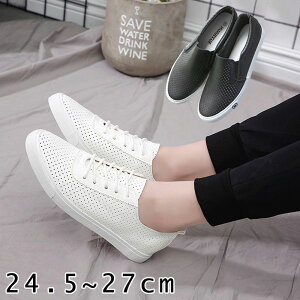 Xb| Y Xj[J[ pvX ؂ [XAbvV[Y V[Y bV PUU[ _炩 y L [Jbg ₷ fbLV[Y ʋCQ jp tbg