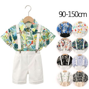 q S11F j̎q AnVc V[gpc TXy_[ 3_Zbg nC  Vc c[s[X ԕ  ][g s  m LbY WjA qǂ q 