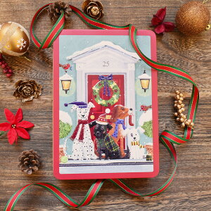 ~G Xm[Aj} O}CY ʓNbL[ NX}X NbL[ rXPbg 킢  Xm[Lbg Xm[hbO L  CMX Grandma Wild's eB G