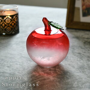 Xg[OX  VC\  V kG  킢 S Abv ь o[^[ KX Cۗ\ tBbcCCیv ȊwG u IuWF C VC G T