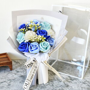 \[vt[ X^fBO u[P 񂰃P[Xt  ԑ  AWg {bNX BOX A[eBtBV ỏԑ  tOX\[v Ϗܗp Ό A} 