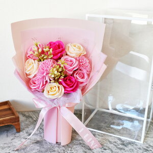 \[vt[ X^fBO u[P 񂰃P[Xt  ԑ  AWg {bNX BOX A[eBtBV ỏԑ  tOX\[v Ϗܗp Ό A} 