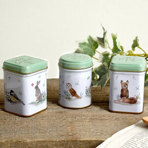 g ʓ t 3ʃZbg TEA p j[CObVeB[ [teB[ eB[[t 70g CMX At^k[eB[ ubNt@Xg \OgbV |Xg hoX 