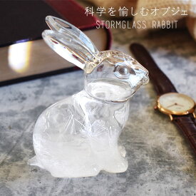 ストームグラス うさぎ 天気予報 結晶 天候 天然木 木 北欧雑貨 おしゃれ かわいい ウサギ 兎 ラビット バロメーター ガラス 気象予報 フィッツロイ気象計 科学雑貨 置物 オブジェ 気温 天気 季節 サイエンス 科学 新築祝 プレゼント ギフト IT445-333413